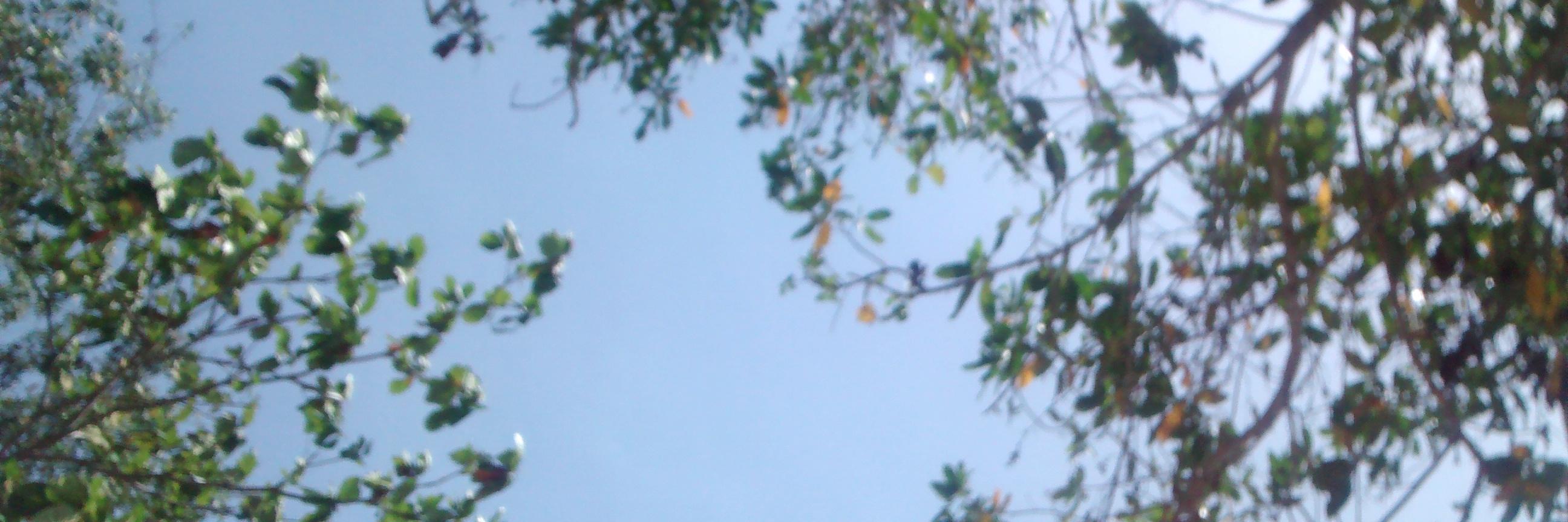 fer_koser's profile banner image