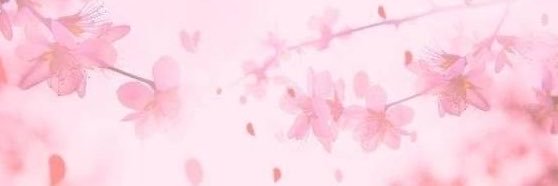 ed95035690's profile banner image