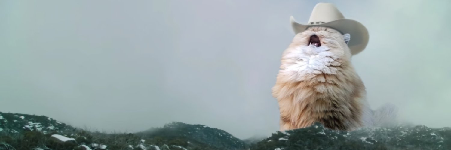 chicamineiira's profile banner image