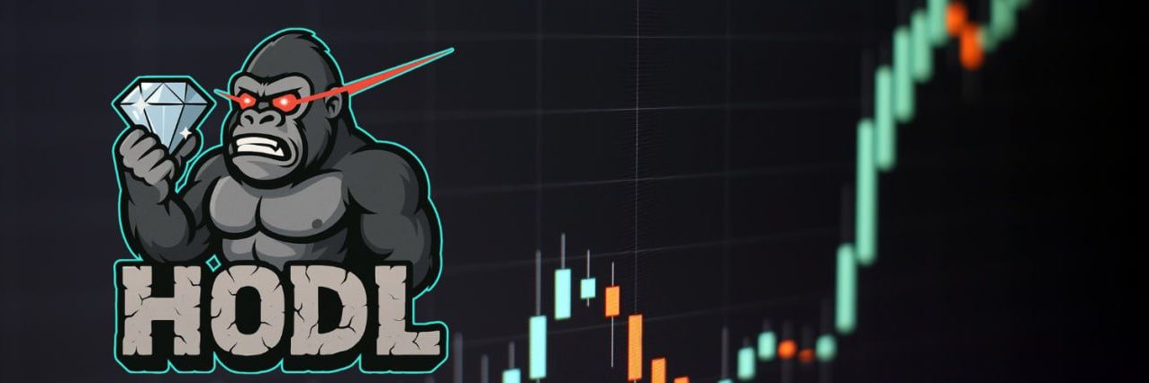 Hodl banner