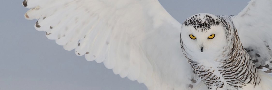 Gabriel Garcia banner
