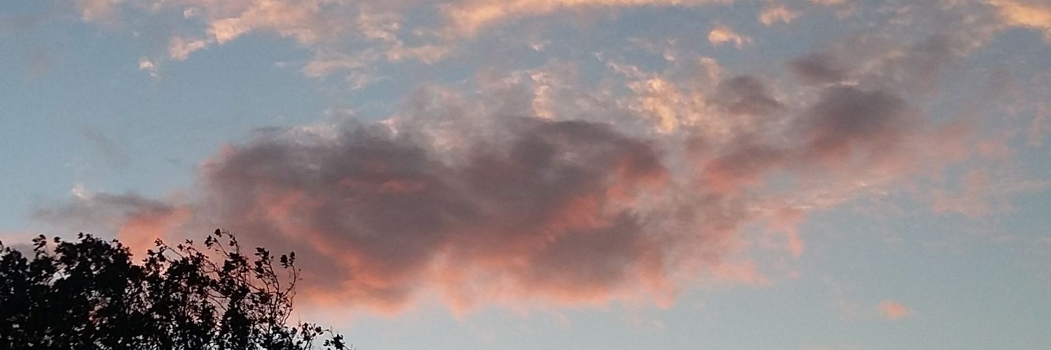 Cesar Castillo banner