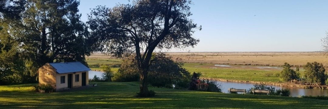 VaneSinFiltro 🇦🇷🐱🇦🇷🐱 banner