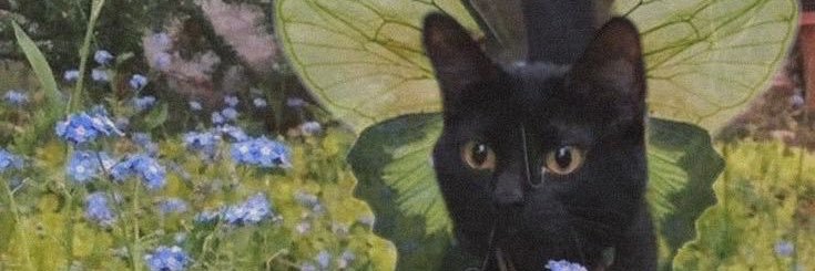Junebug 🐞🐛 banner