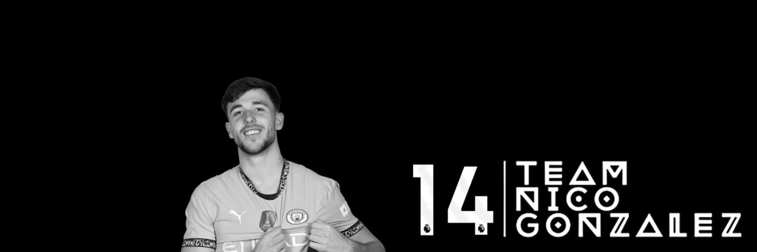 Team Nico González's banner