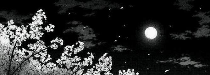 lunabeautew's profile banner image