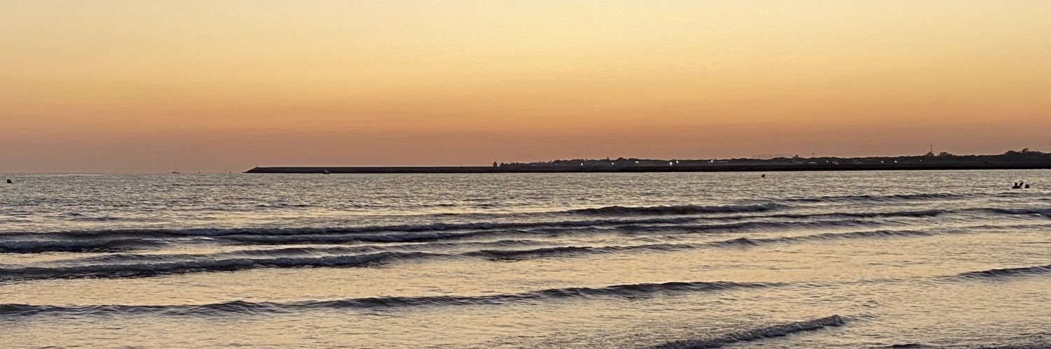 Meryrv_'s profile banner image