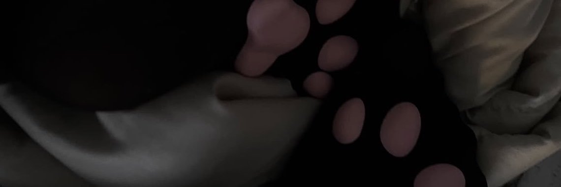 AoiSanctuary's profile banner image