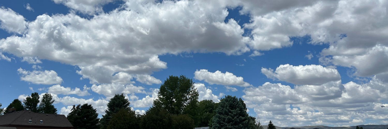 Ian MacIntyre banner