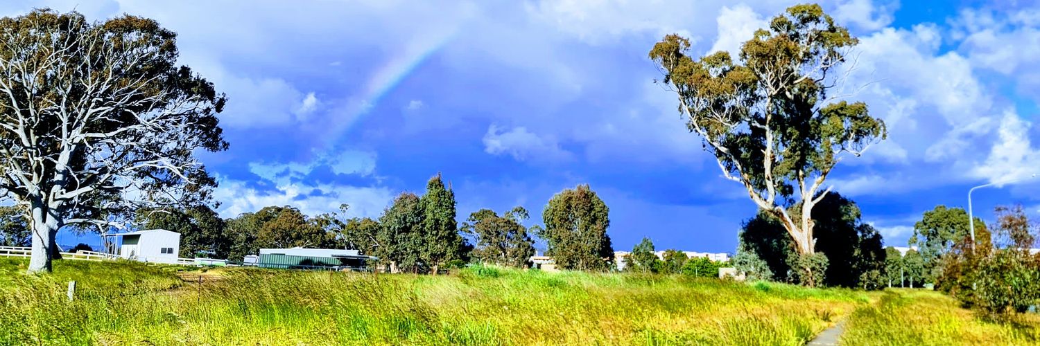 rohanmaloney's profile banner image