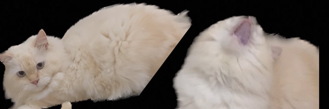 Clair 🐩 banner