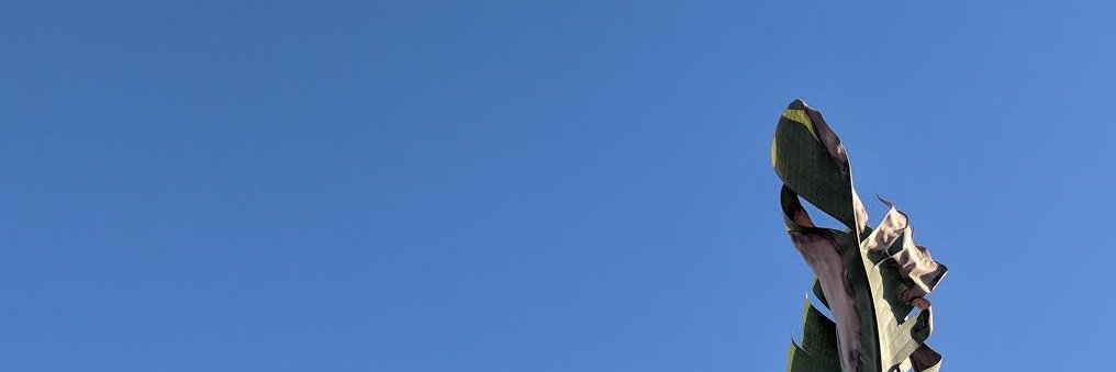 Ssorsch's profile banner image