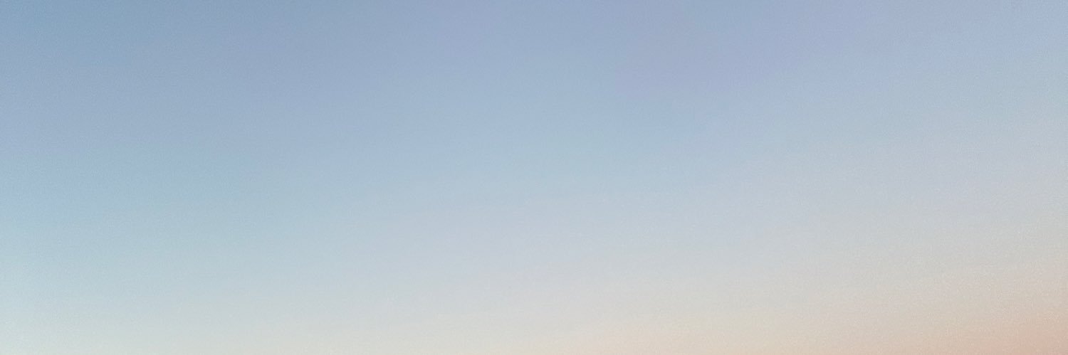 lana banner