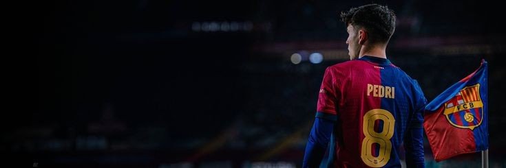 lukssfcb's profile banner image