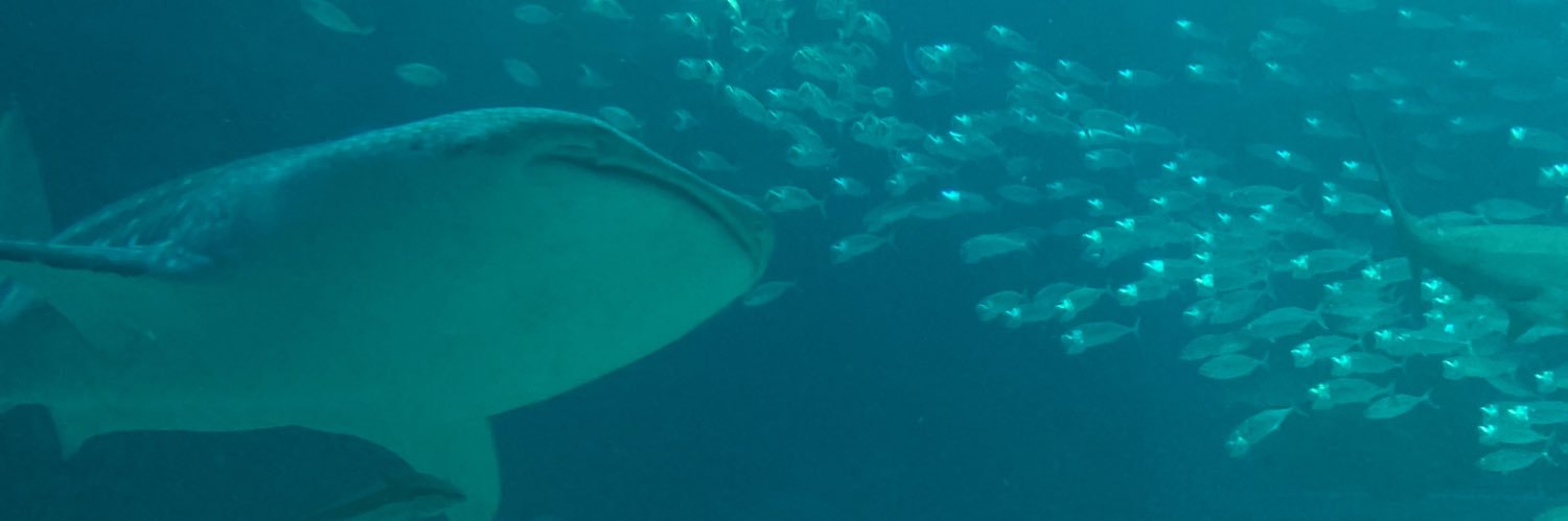 樹里おねえさん banner