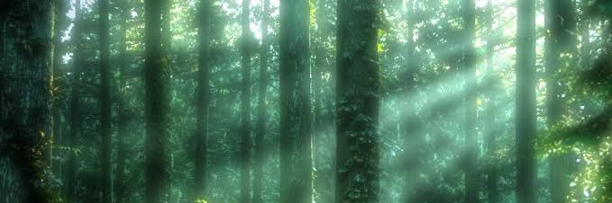 bono141's profile banner image
