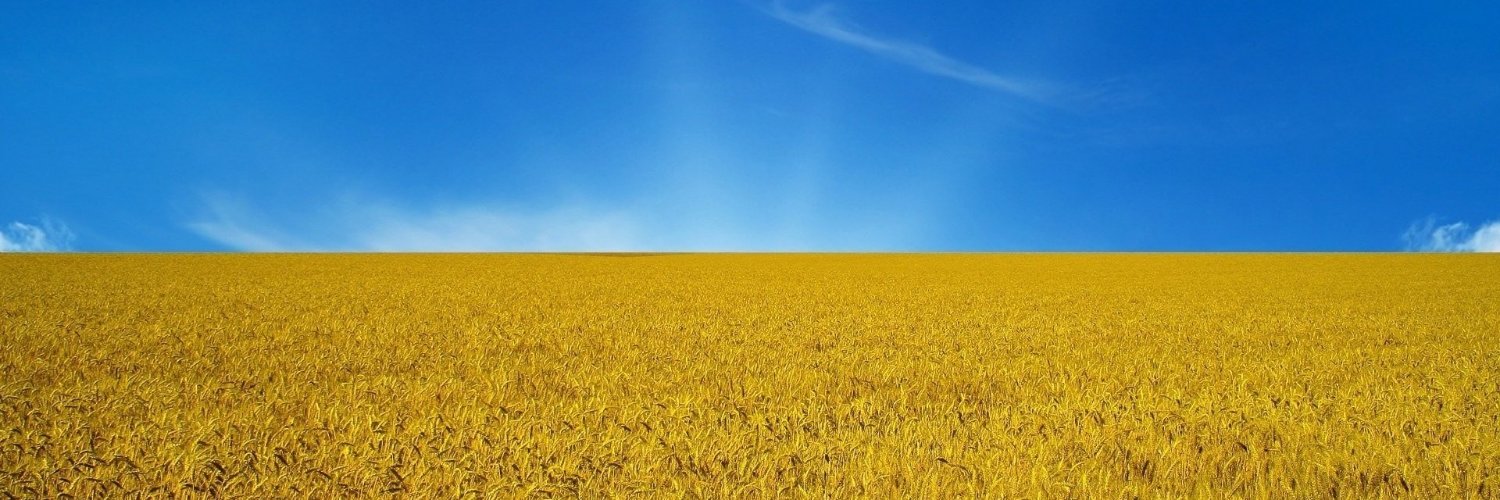 Synergy3121's profile banner image