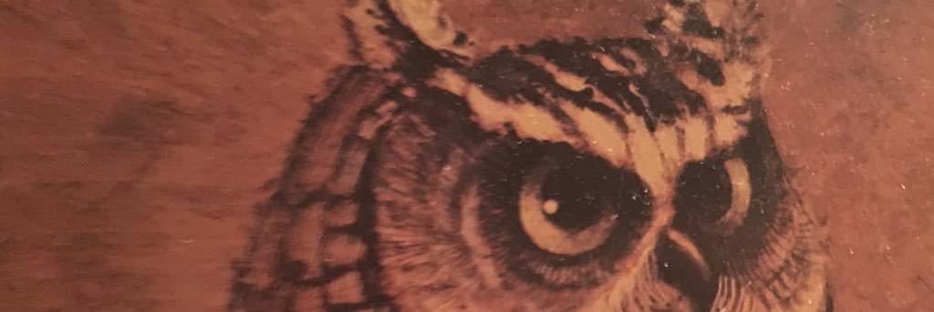 hannahbybee's profile banner image