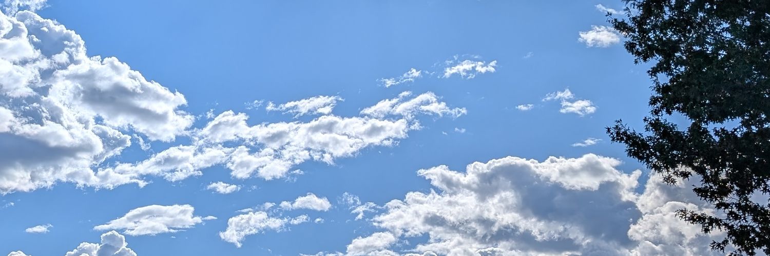 oof_fox's profile banner image