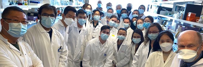 Sonenberg Lab banner