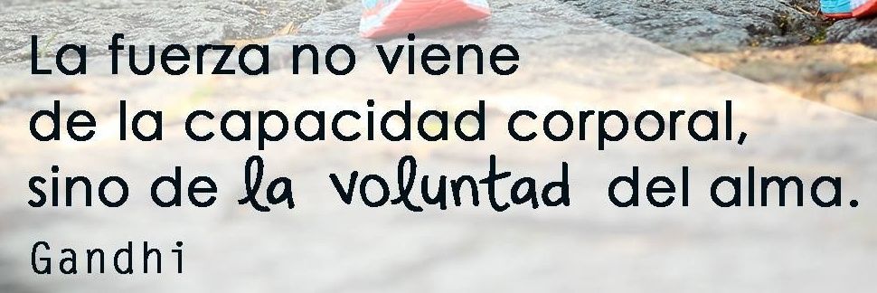 Lifetime, reflexiones banner