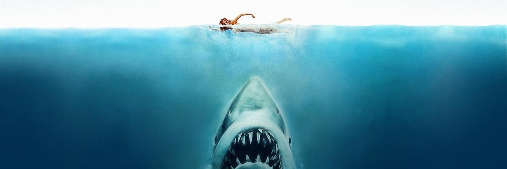 katetheshark's profile banner image