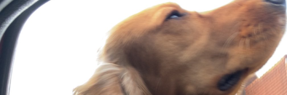 Chlopv_'s profile banner image