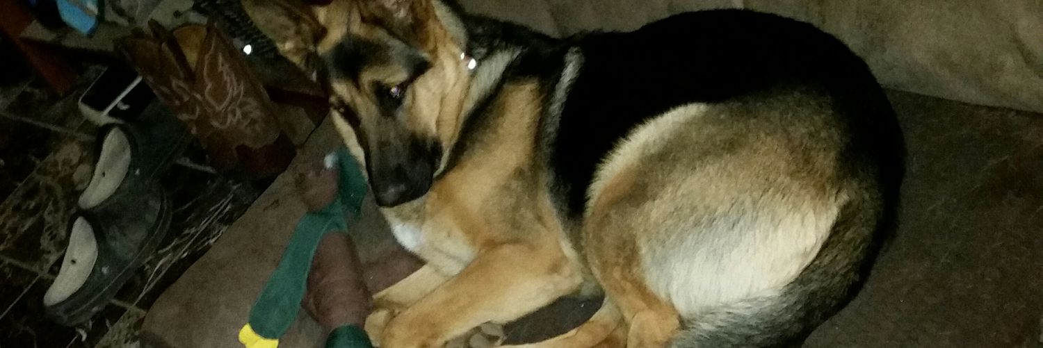 cami_lynn97's profile banner image
