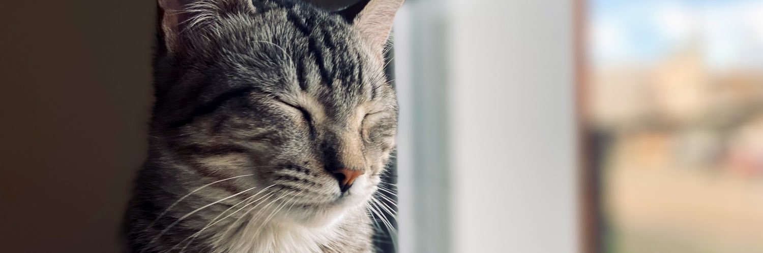__cotyy's profile banner image