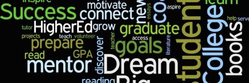 fvillagranglover banner