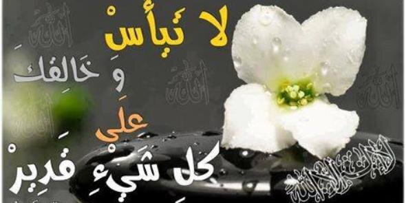 تويتر غلق حساب وئام banner