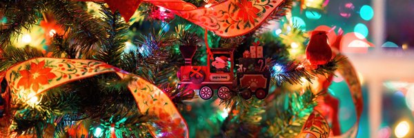 thevioletskull Profile Banner