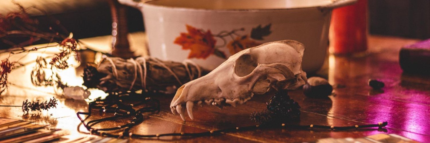 thevioletskull banner