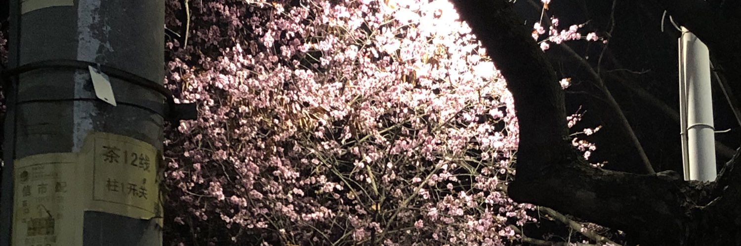 zz banner