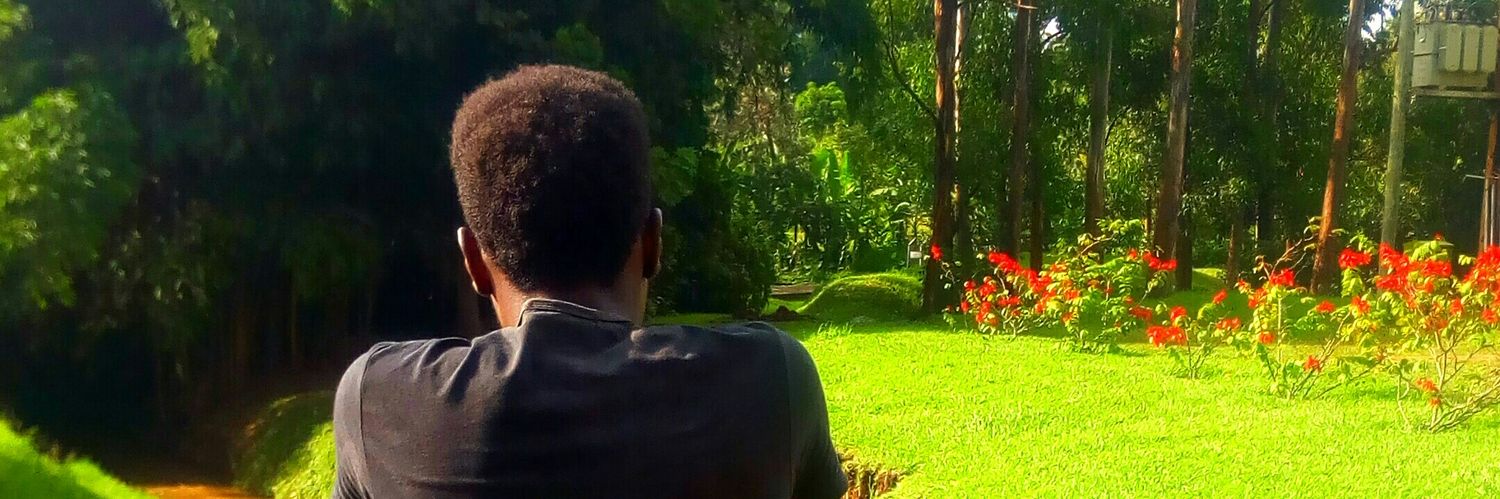 febianbrian's profile banner image