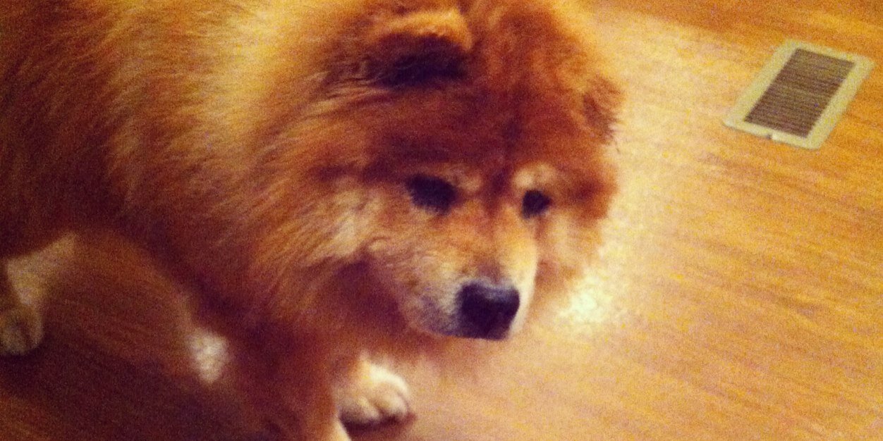 Tequila Sunrise ♊️ banner