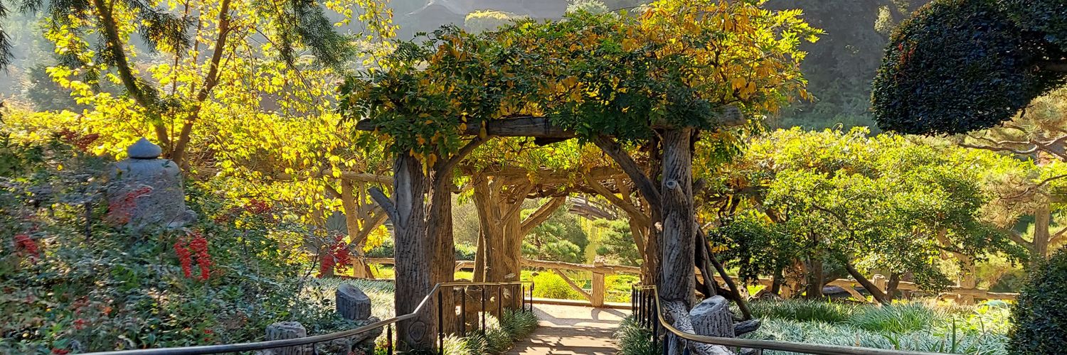 Barbara Genie banner