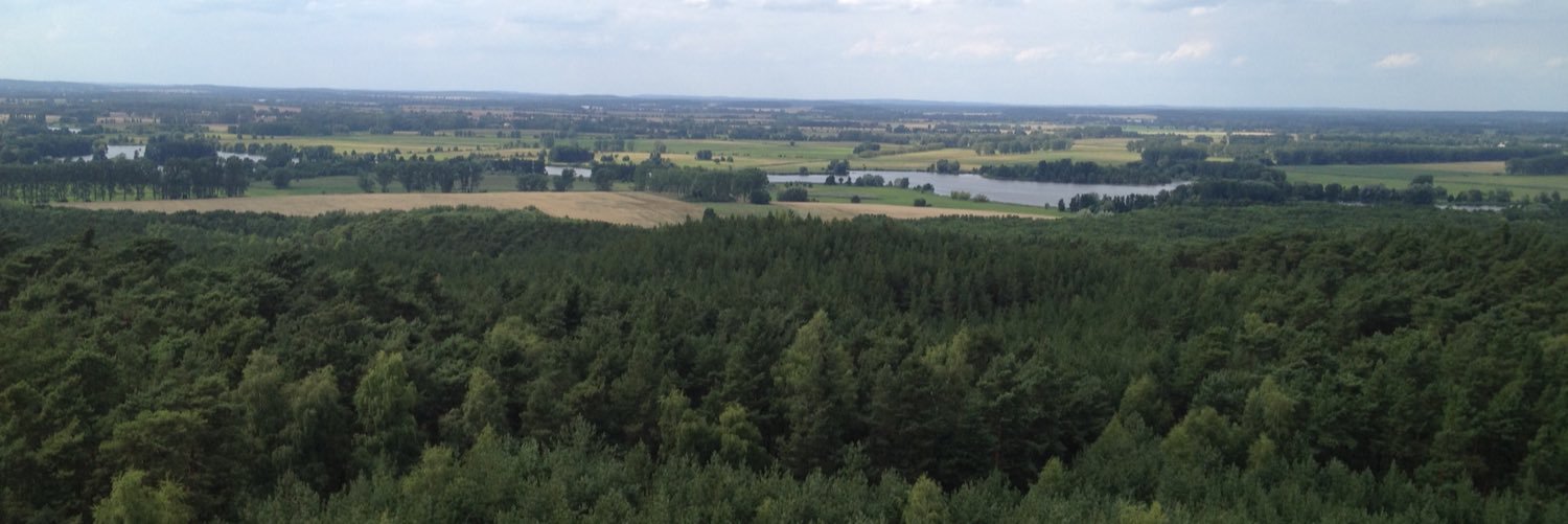 TDoennebrink's profile banner image