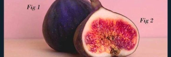 David Broussard | M365 Architect banner