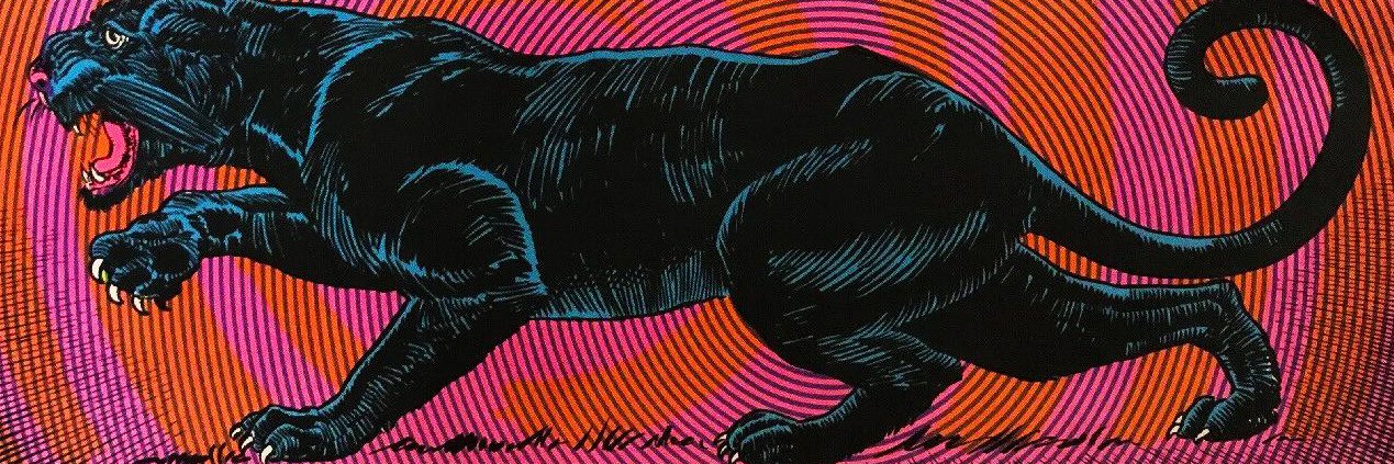 doguskirton's profile banner image
