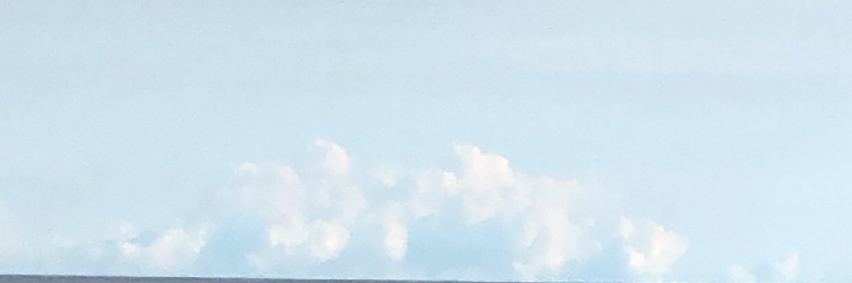 noleec banner