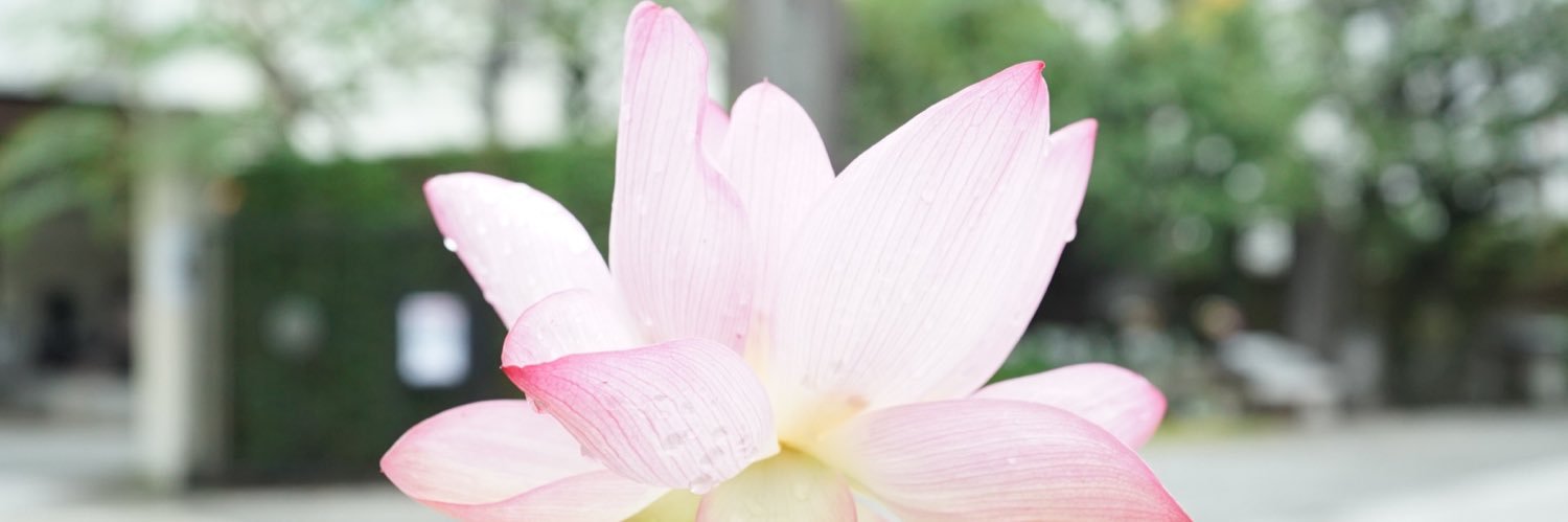石田一裕's banner