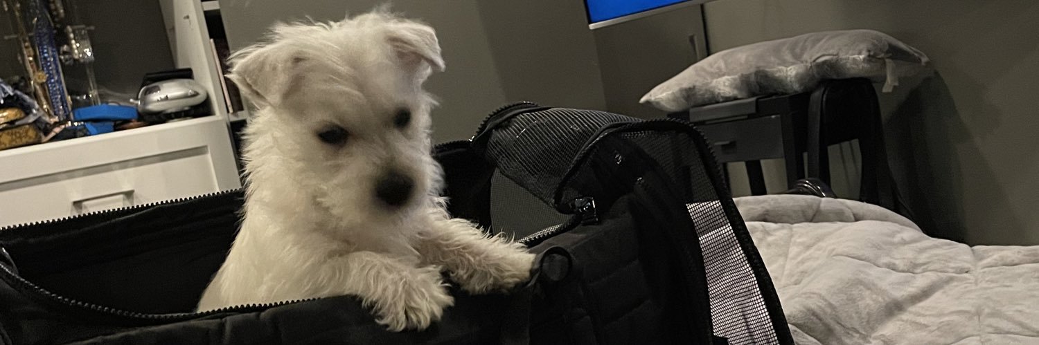 AThewestie's profile banner image