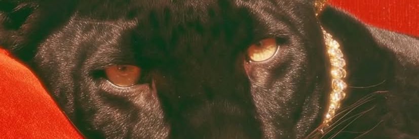 esterabreuc's profile banner image