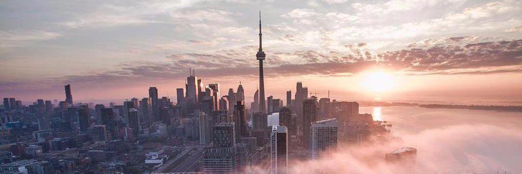 zmirza93's profile banner image