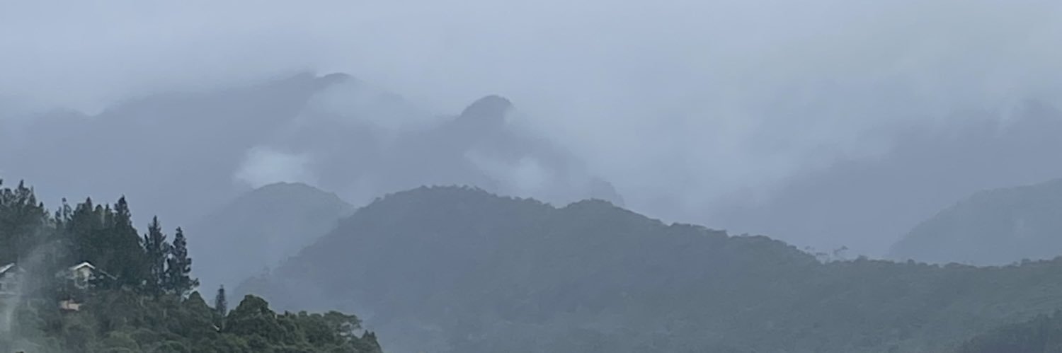 jianbells's profile banner image
