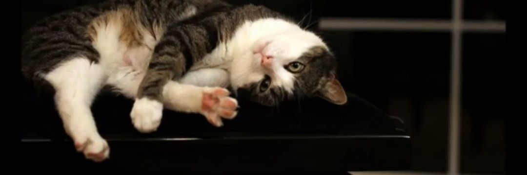 稲葉 喜美子(MARIA) as Fuuta Maria banner