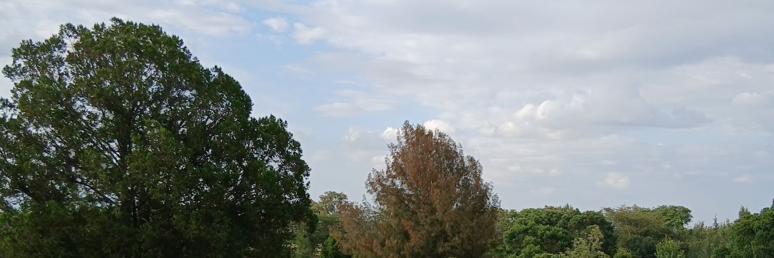 mtaani banner