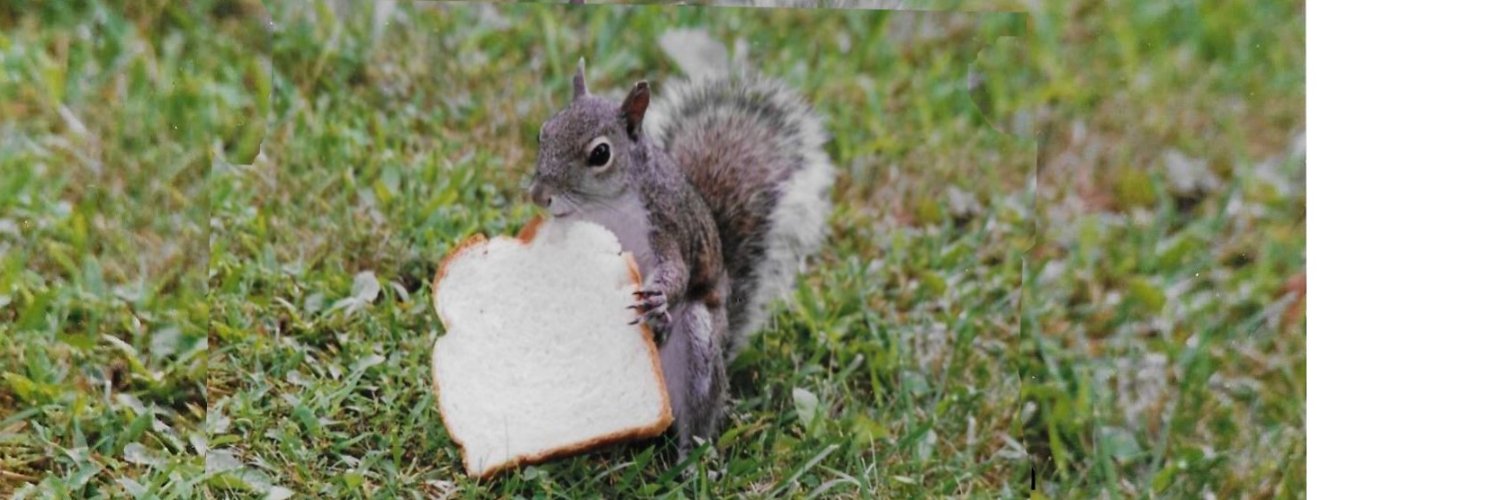 Jeff Stacy and the Relatives banner
