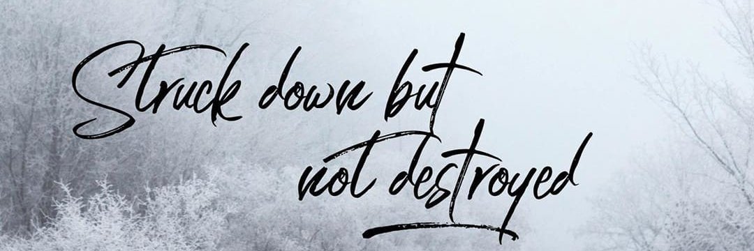 Rockbuiltmary's profile banner image